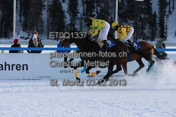 ET0Q1337 prot